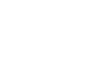 Nicole Hanson Group logo